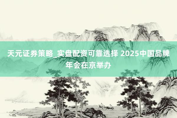 天元证券策略_实盘配资可靠选择 2025中国品牌年会在京举办