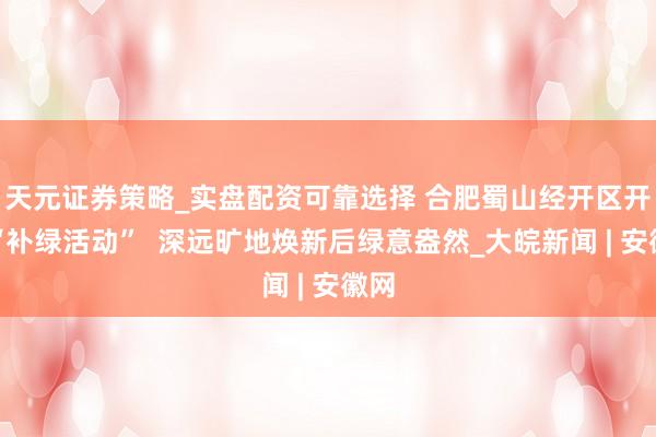 天元证券策略_实盘配资可靠选择 合肥蜀山经开区开展“补绿活动”  深远旷地焕新后绿意盎然_大皖新闻 | 安徽网