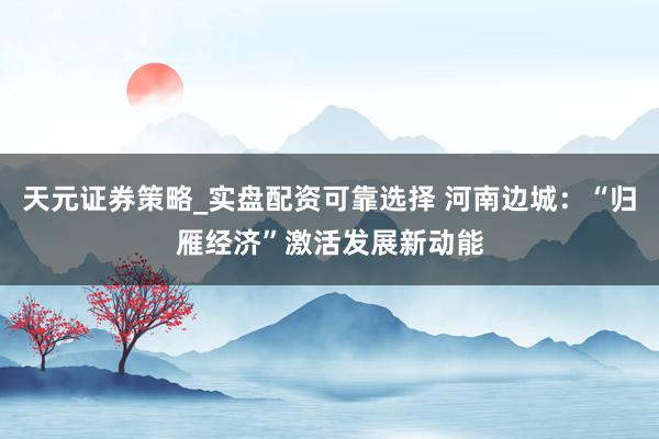 天元证券策略_实盘配资可靠选择 河南边城：“归雁经济”激活发展新动能