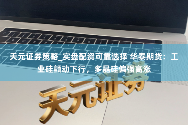 天元证券策略_实盘配资可靠选择 华泰期货：工业硅颤动下行，多晶硅偏强高涨